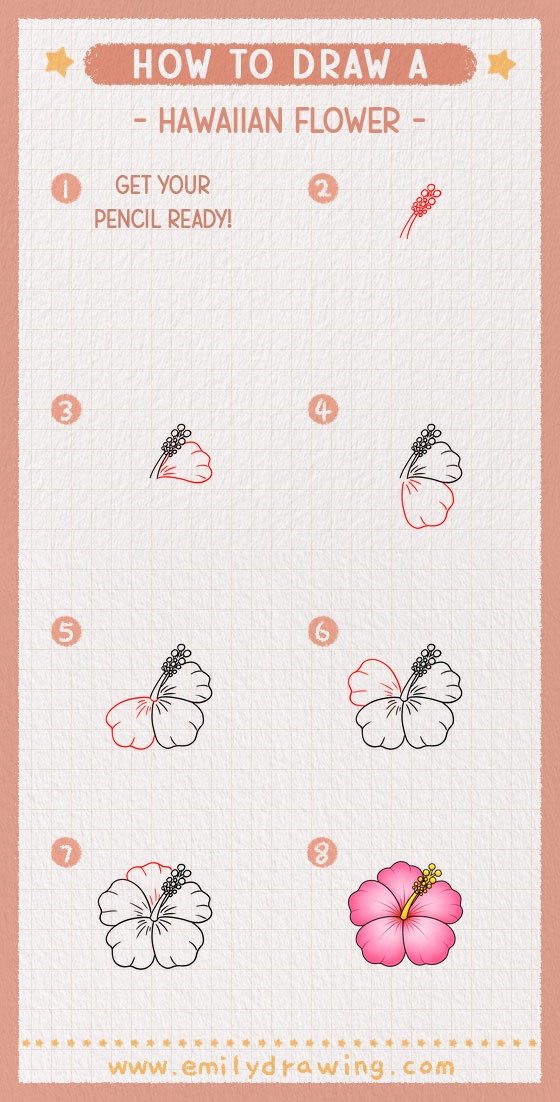 how to draw a hawaiian flower pinterest pin